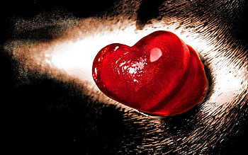 Hearts, Objects HD wallpaper