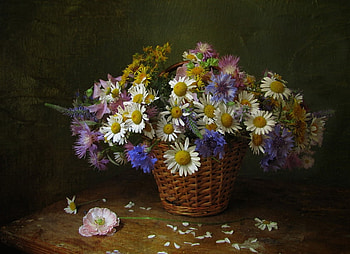 Still Life, basket, life, beautiful, flowers, still, tiny, daisies HD wallpaper