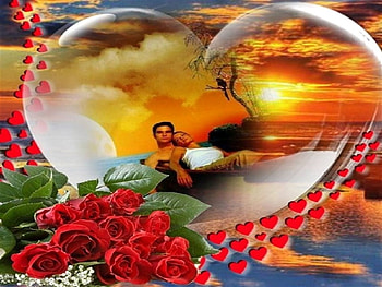 heart,romance,roses,red, rose, romance, heart, red HD wallpaper