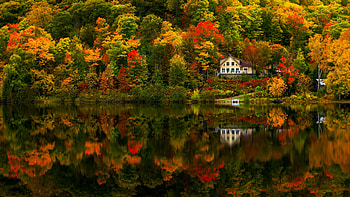 Devils River, Quebec, fall, autumn, trees, colors, forest, water, reflections, leaves, cottage, canada HD wallpaper