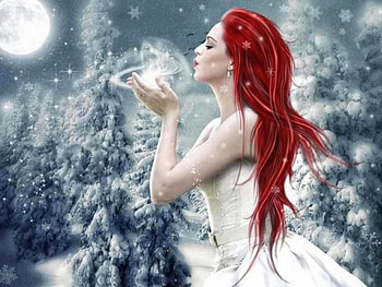 White Rose, winter, fairy, artwork, fantasy, snow HD wallpaper