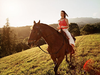 evanjelin lilly, horse, model, actress, sunset HD wallpaper