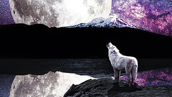 Wolf Moon River, artist, artwork, digital-art, wolf HD wallpaper