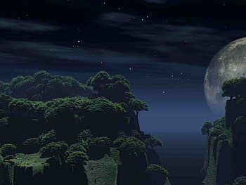 High, trees, peace, dark HD wallpaper