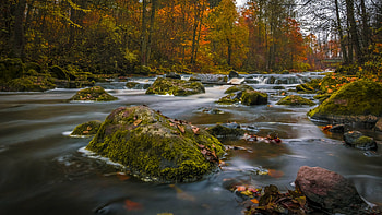 River vistas, tranquility, Ultra nature, river backgrounds HD wallpaper