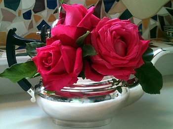 Tea Roses, still life, blossoms, red, flowers, teapot HD wallpaper