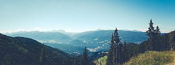 A stunning panoramic view of majestic alpine mountains with lush forests under a clear summer sky. HD wallpaper