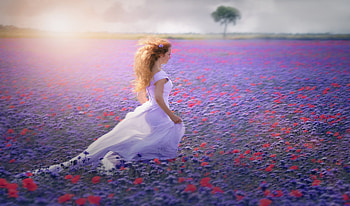 Walking thru a field, filed, people, purple, pretty, flowers, models, dreamy, sunset, female HD wallpaper