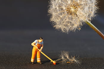 Close-up of a miniature worker figurine cleaning dandelion seeds, combining nature and toy elements. HD wallpaper