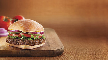 Wonderful hamburger , Irresistible visuals, Flavorful, Delicious HD wallpaper