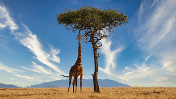 Ecological wonders, Pristine beauty, Conservation efforts, Sustainable tourism HD wallpaper