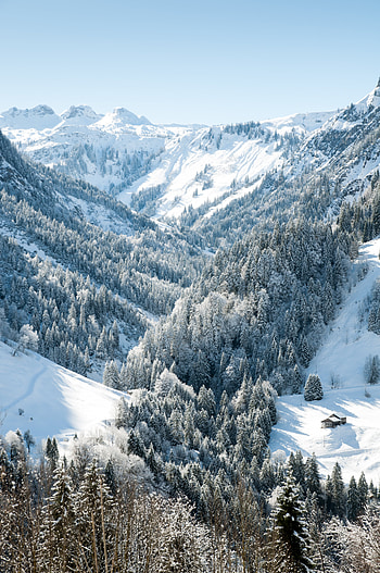 Landscape, Nature, Trees, Mountains, Snow, View From Above HD phone wallpaper