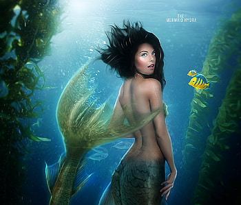 Mermaid, sea, blue, girl, hosne qanadelo, summer, fantasy, underwater, fish, luminos, water, vara HD wallpaper