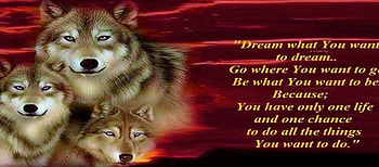 let the wolves run, dreams, saying, wolves, red, sky, dream HD wallpaper