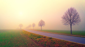 Foggy day, dawn, sunrise, highway, road, landscape HD wallpaper