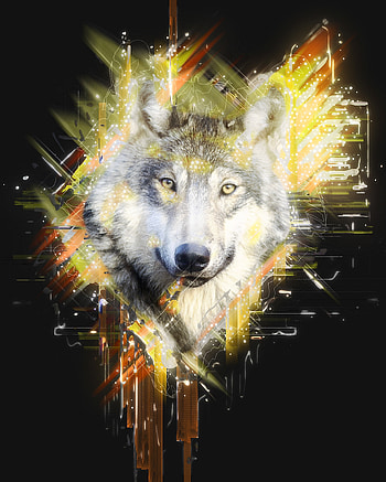 Art, Muzzle, Predator, Wolf HD phone wallpaper