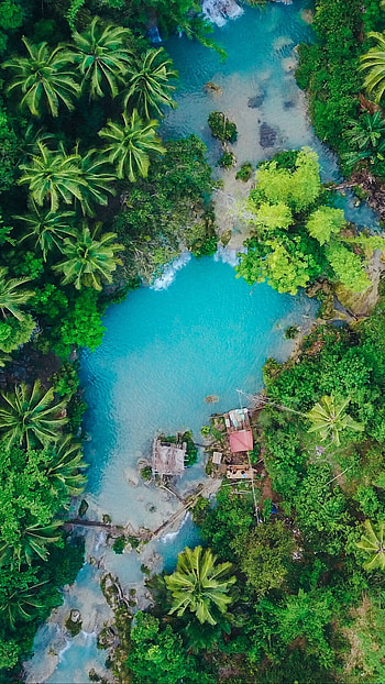 Island, Island palm trees, Top view , Tropical escape HD phone wallpaper