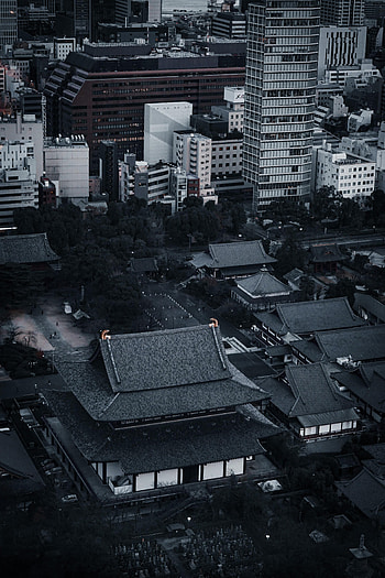 Cities, Building, Roof, China, Roofs HD phone wallpaper