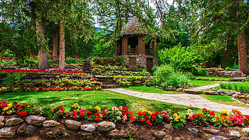 Park at Banff NP, Alberta, flowers, canada, blossoms, path, landscape, trees HD wallpaper
