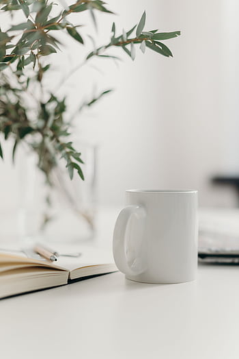 Elegant minimalist workspace featuring a white coffee mug, open notebook, and a leafy plant on a white table. HD phone wallpaper