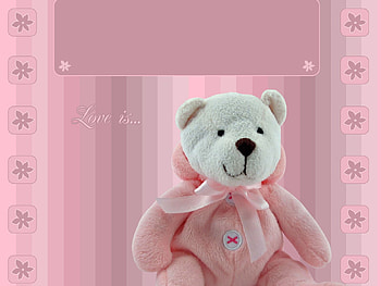 Teddy Bear, Miscellanea, Miscellaneous, Typography, Registration, Toy, Postcard HD wallpaper