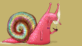 Pink, Vector, Bright, Snail HD wallpaper