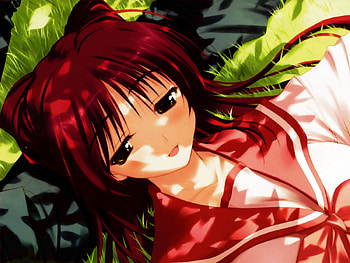anime, d HD wallpaper