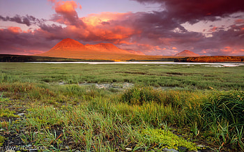 Sunset in green fields, fields, nature, green, sunset HD wallpaper