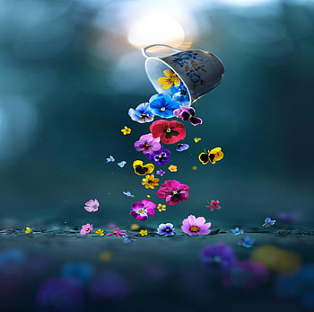 Cup of spring, Flowers, Cup, Colorful, Bokeh HD wallpaper