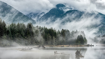 Mist Mountain Trees River HD wallpaper