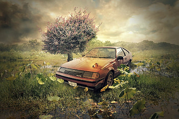 the car, old, nature, tree HD wallpaper