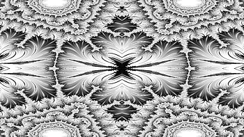 Trippy Psychedelic Fractal, trippy, psychedelic, aesthetic, white, black, Abstract, fractal, abstract black HD wallpaper
