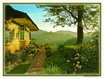 Green House, in a home comfort, beautiful nature, beautiful landscape HD wallpaper
