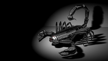 metal scorpion, metal, darkness, scorpion, cg HD wallpaper