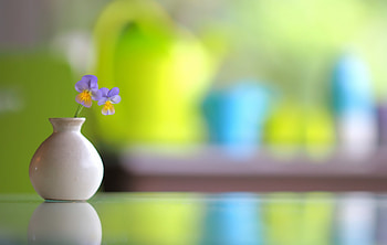 Violet, , Flower, Pansy, Vase HD wallpaper