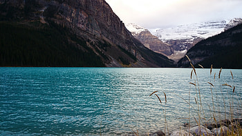 Lake Louise, Alberta, Canadian Rockies, Serene landscapes HD wallpaper