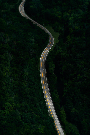 Nature, View From Above, Road, Markup, Forest HD phone wallpaper