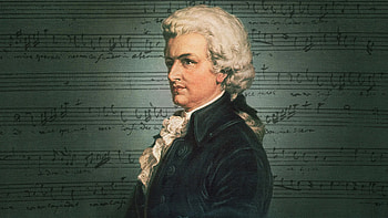 Wolfgang Amadeus Mozart, Exclusive interview, Gidget the pug, Musical prodigy HD wallpaper