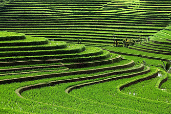 Bali Travels, que beaches, Balinese culture, Tropical paradise HD wallpaper