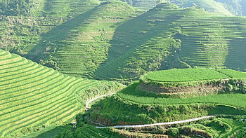 Banaue Rice Terraces, Stunning , Natural wonder, Michelle Tremblay's post HD wallpaper