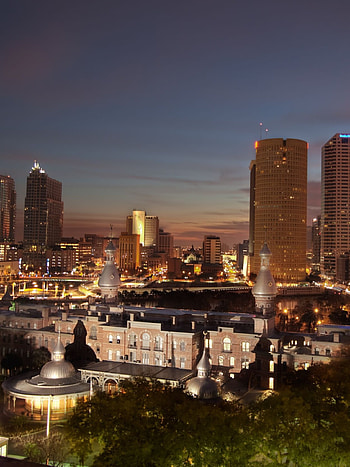 Tampa Skyline, Laptop HD phone wallpaper