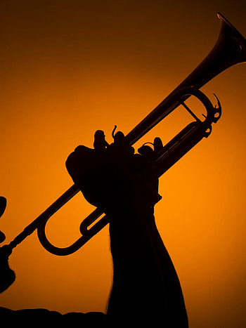 Trumpet , Sarah Cunningham, Musical instrument, Artistic background HD phone wallpaper