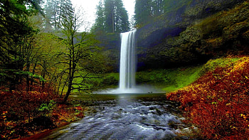 Silver Falls, Oregon, river, leaves, colors, autumn, trees, sky, rocks, usa, fall HD wallpaper