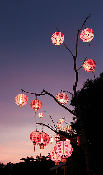 Japanese lanterns , Posted by Ryan HD phone wallpaper