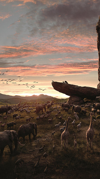 The Lion King (2022) movie HD phone wallpaper
