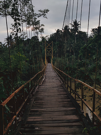 graphy, jembatan, langit HD phone wallpaper