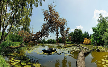 Landscape, Rivers HD wallpaper
