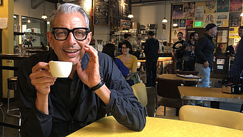 Disney release guide, High school musical, Jeff Goldblum, Disney shorts HD wallpaper