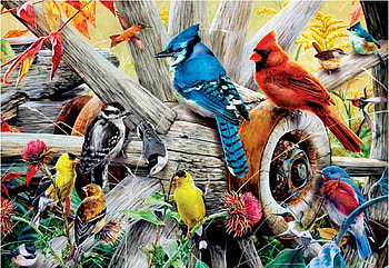 Backyard Singers, artwork, birds, painting, wheel, blossoms, flowers HD wallpaper