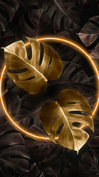 Gold Leaf, Tropical golden neon lights, screen HD phone wallpaper